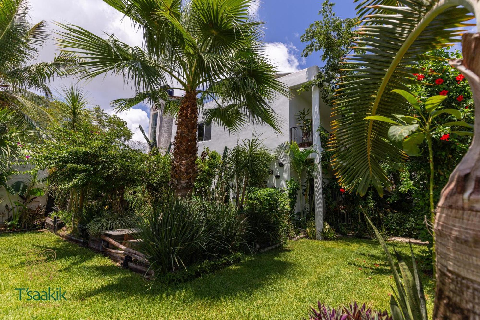 Tsaakik Jungle Hotel & Spa كانكون المظهر الخارجي الصورة
